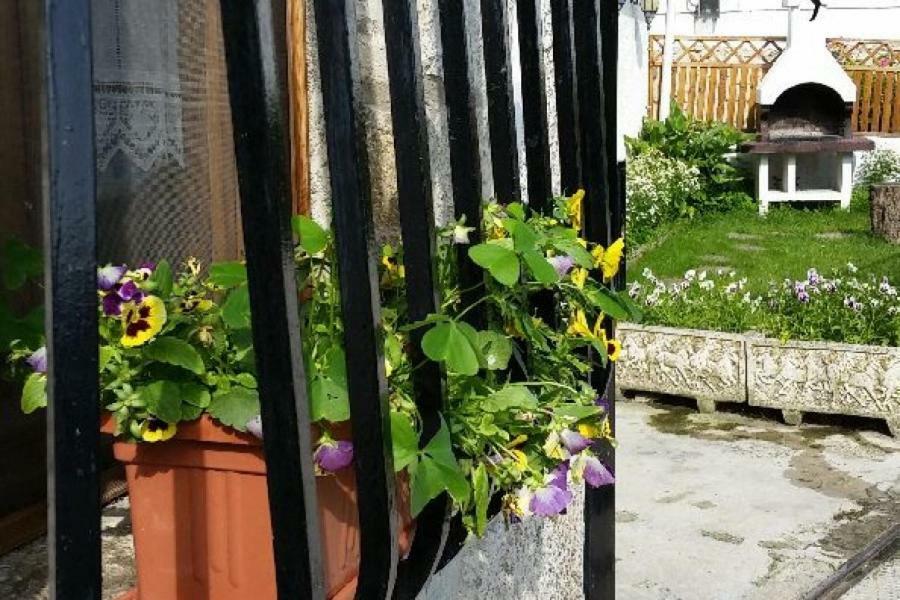 Casa Rural Zubiarena Satrustegui 외부 사진
